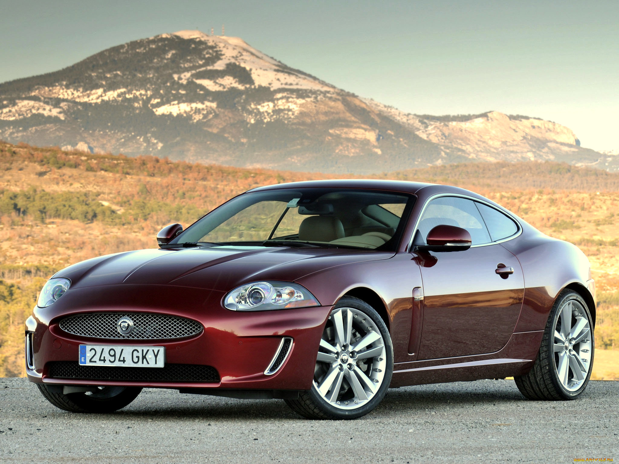 , jaguar